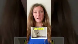 Termite Control in Southern California