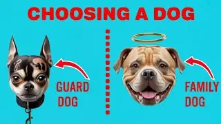 Which Dog Breed is Perfect for YOU? (15 Personality Matches)