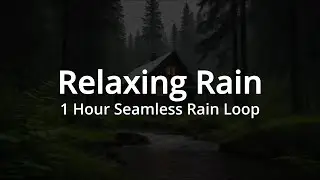 Relaxing Rain &ndash; 1 Hour Seamless Rain Ambience Loop