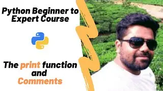 The print function and comments in python | Python Beginner to Expert Course [V2]