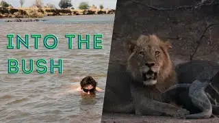 SWIMMING WITH HIPPOS