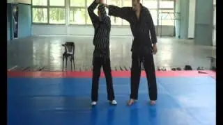 HAPKIDO, Poluge i oslobađanje od hvata za ruku, Mladen Kužnik 7.Dan