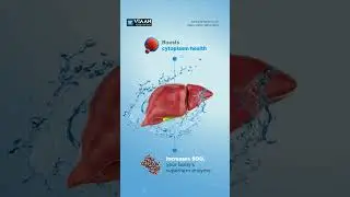 Hydrogen Water: Your Liver's Best Friend #antioxidant #hydrogenwater #healthy  #alkalineionizer