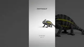 greyscale chameleon #fyp #animals #beautiful #hyperrealism #dailyanimalfacts #indivisualiv