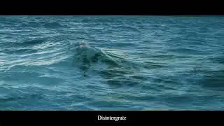 Treee - Disintegrates