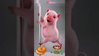 QUIERO CAF&Eacute;, QUIERO CAF&Eacute; CON PAN 🍵🥐#humor #comedia #sigueme #video #v&iacute;deoviral #flip #lomasvisto