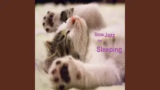 Bed Time Jazz