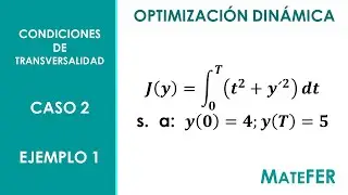 Optimización Dinámica - Condiciones de Transversalidad - Caso 2 - EJEMPLO 1