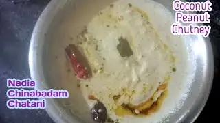 Nadia Chatani | Breakfast & Snacks Side dish Peanut Coconut Chutney Recipe 