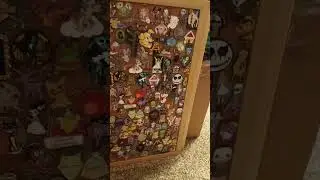 Small section of the pin collection!