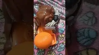 Mad Dog wants healthy fruit orange #shorts #healthylifestyle  #trending #asmr  #orange