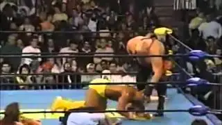 Vicious Powerbomb