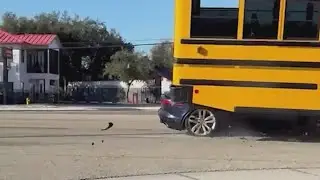 Jaguar wedges under school bus in Florida crash caught on dashcam