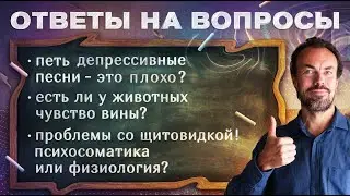 Ответы на вопросы подписчиков. Новый формат.