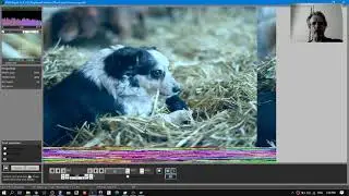 Corrupt JPEG file: Carve photo from file containing several images.