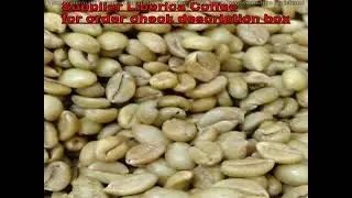 Coffee Excelsa Special Level - We Supplier From Indonesia Whatsapp +62822 2221 1225
