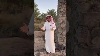 قصص من بيوت الأنصار ( المؤرخ )