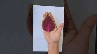 velvet leaf craft | #youtubeshorts #diy #leafcraft #leaf