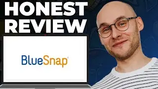Обзор платежной платформы BlueSnap &mdash; все еще хорошо?