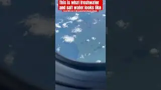 This is what freshwater and salt water looks like #water #Ocean