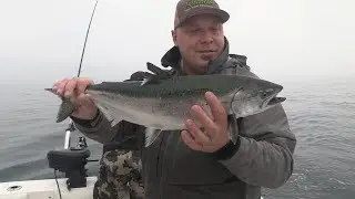 Victoria, BC Winter Blackmouth Salmon Fishing & Columbia River Crabbing