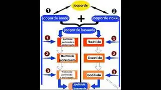 Jooporɗe ɓasaande