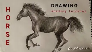 How to Draw a Horse 🐎 | Simple Shading Drawing