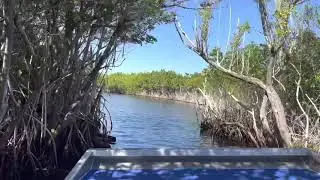 Everglades City Airboat Tours
