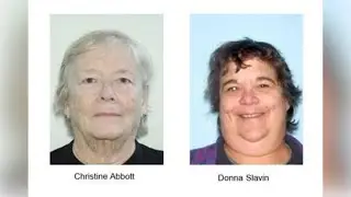 Dozens of neglected, dead dogs found in Snellville home, 2 arrested
