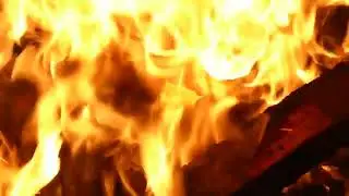 short fire 1.0