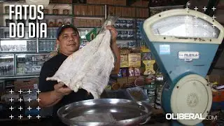 Preço do Bacalhau pode chegar até R$ 229 acompanhado de outros produtos comuns no fim de ano