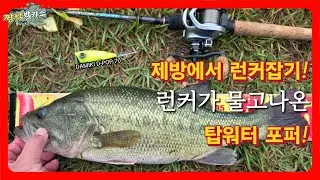 배스낚시 제방에서 런커잡기! 다미끼 디팝70 #DAMIKI #DAMIKIFISHING #DPOP70 #POPPER #하드베이트 #배스 #배스낚시  #bassfishing #짬낚