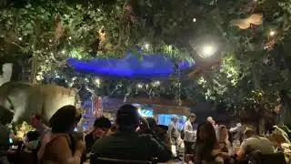 Thunderstorm at Rainforest Cafe