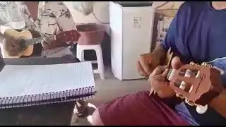 jeremias woshington e M&aacute;rcio, tico tico no fub&aacute;