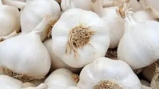 KUOTA NA KITUNGU SAUMU (GARLIC) INA MAANA GANI?