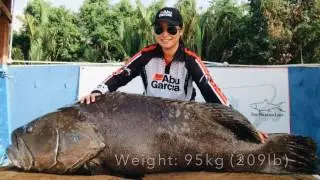 PENN Slammer III VS 95kg Giant Grouper