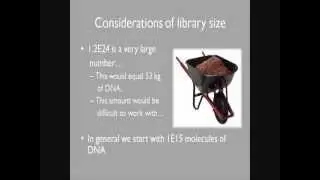 Lecture # 2: Aptamer Selection