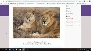 Kids Info Bits