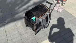 Katziela Rolling Pet Carrier   Airline Compliant Review, Perfect for the AIRPLANE Pet Carrier