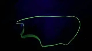 Zip string aracna glow in the dark tricks! 