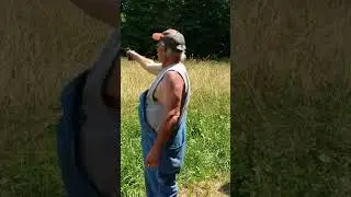 Heritage Rough Rider .22 lr 