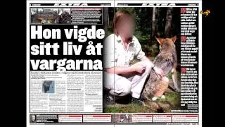 Han döms för vargattacken på Kolmården