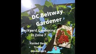 Virginia Zone 7 gardening - Start growing vegetables at home - Spring garden tour