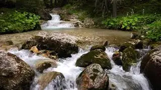 Trail Romania - running in the amazing Carpathians
