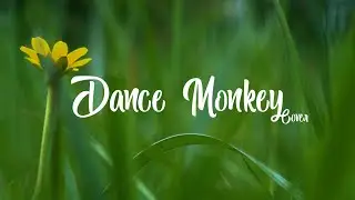 DANCE MONKEY - TONES AND I (TMRS Reggae Cover) ft. CpdL