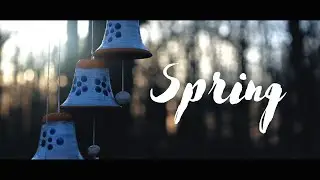 Spring | Cinematic Video | Canon EOS RP