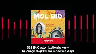 How to Perform Real-Time PCR for Accurate Quantification