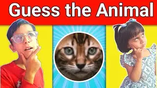 Noor aur Hassan के साथ Masti में सीखो Animals 🐘🐯 | Guess the Animal🐾