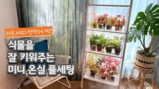 이케아 레르베리 선반에 딱 맞는 미니 온실 풀세팅 #온실공동구매 (23.5.1~5.7)