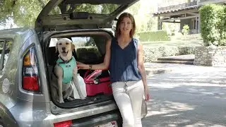 Emergency Preparedness with Pets: Advance planning tips to stay together and stay safe.